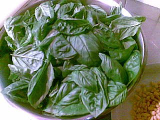 basil.jpg