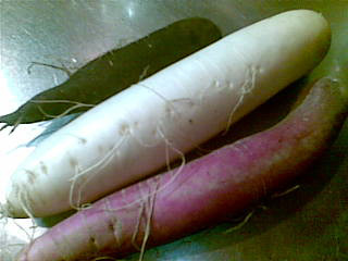 daikonn.jpg