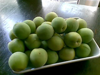 ume.jpg