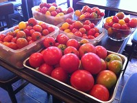 tomato2rr.jpg
